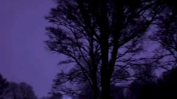چهره هایی آرامش / دریا و شب