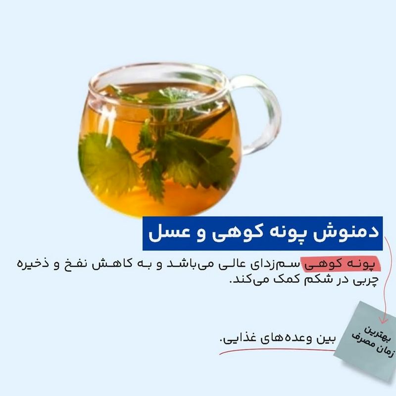 دمنوش پونه کوهی و عسل