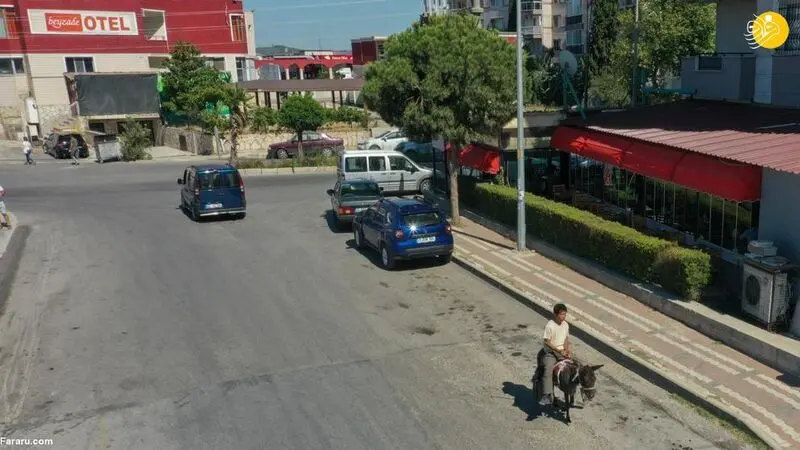 کوتارو گردشگر ژاپنی 