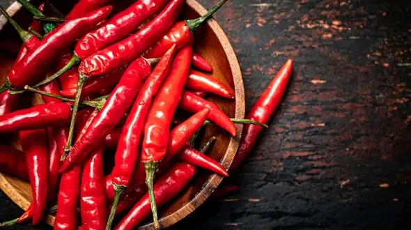 در مصرف فلفل تند زیاده روی نکنید زیرا...