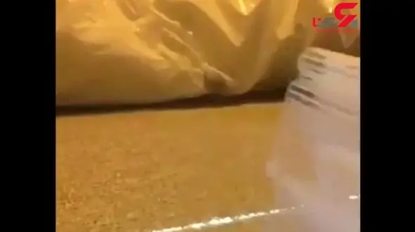 خلاقیت حیرت انگیز با پرینتر سه بعدی + فیلم