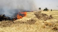 آتش زدن پس مانده محصولات کشاورزی آفتی برای طبیعت است