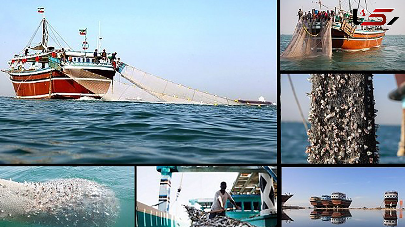 کشتی‌های چینی در آبهای ایران حضور ندارند