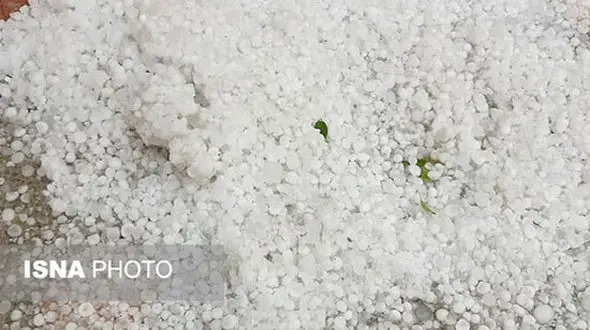 
بارش شدید تگرگ در بندرعباس +عکس
