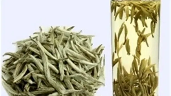 صادرات ۱۰۰ کیلوگرم چای سفید ایرانی/ هر کیلو چای سفید یک میلیون و ۲۰۰ هزار تومان