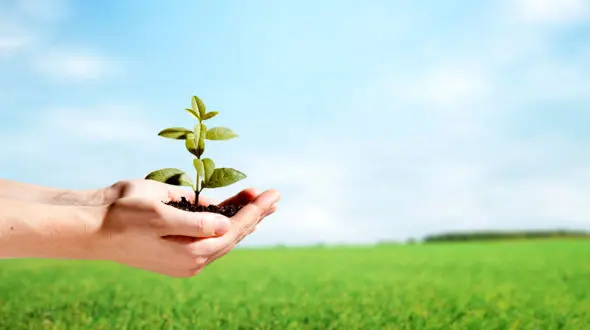 ما بلد نیستیم عاشقی کنیم/ تنها عشق می تواند یک گنده لات را سر به راه کند