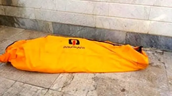 خودکشی وحشتناک مرد 28 ساله از پل طبیعت تهران / 10 صبح امروز رخ داد