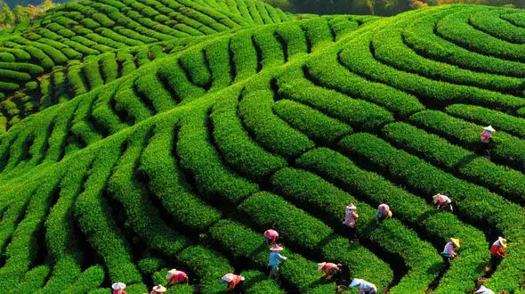 از لاهیجان بهشت گیلان تا شکوه دماوند