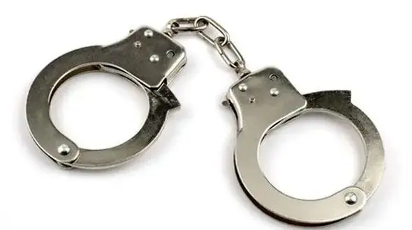 افشای شبکه کلاهبرداری حرفه‌ای زمین‌های مرغوب با سندهای جعلی