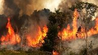  جنگل های بازفت شهرستان کوهرنگ در آتش سوختند