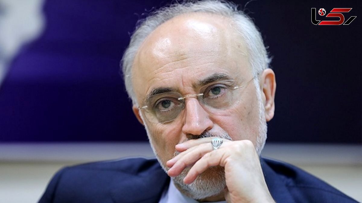 Ali Akbar Salehi: Withdrawal from NPT Solely Within the Supreme Leader’s Authority