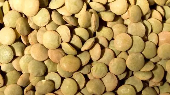 واردات عدس ۲۹۲ میلیاردی شد