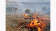 آتش سوزی تپه باستانی تل خسرو در بویراحمد 