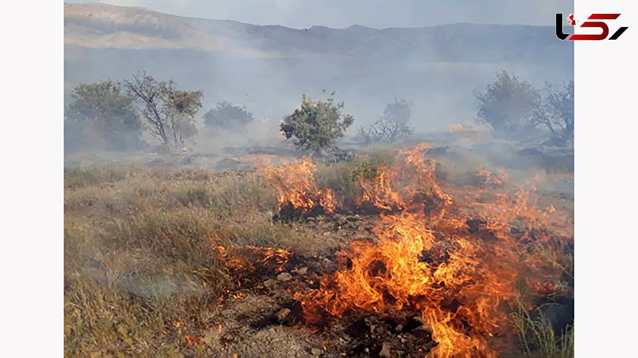 آتش سوزی تپه باستانی تل خسرو در بویراحمد 