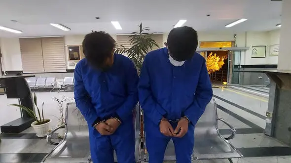 فیلم سرقت خودروی سفارت بوسنی هرزگوین / بازداشت دزدان همه فن حریف +  عکس
