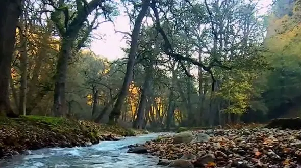 از تالاب استیل آستارا تا طبیعت پاییزی اسالم