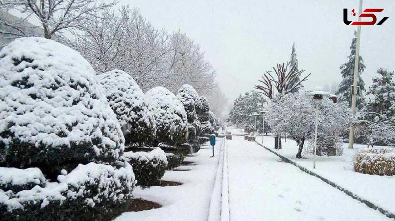 سرسره بازی خیابانی مردان در بوکان + فیلم