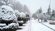 بارش برف در روستاهای کرمان + فیلم