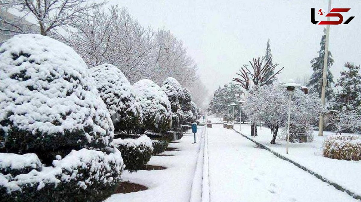 بارش برف در روستاهای کرمان + فیلم