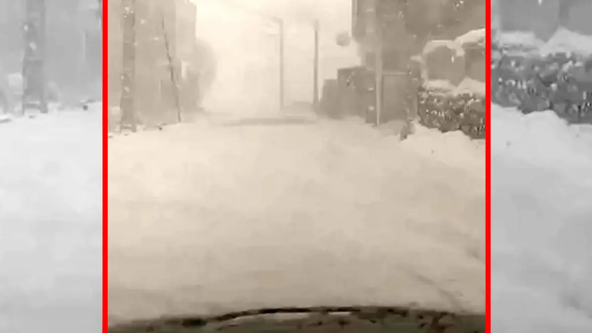 فیلم مناظر زمستانی و سفیدپوش ورگه سران