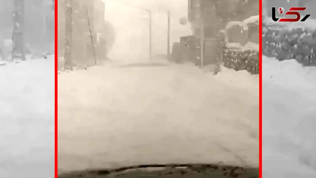 فیلم مناظر زمستانی و سفیدپوش ورگه سران