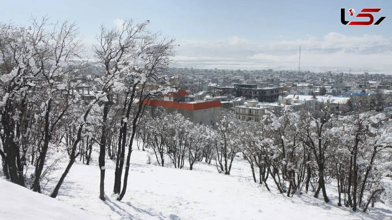 سفیدترین رویای زمستان در قلب کهگیلویه + فیلم