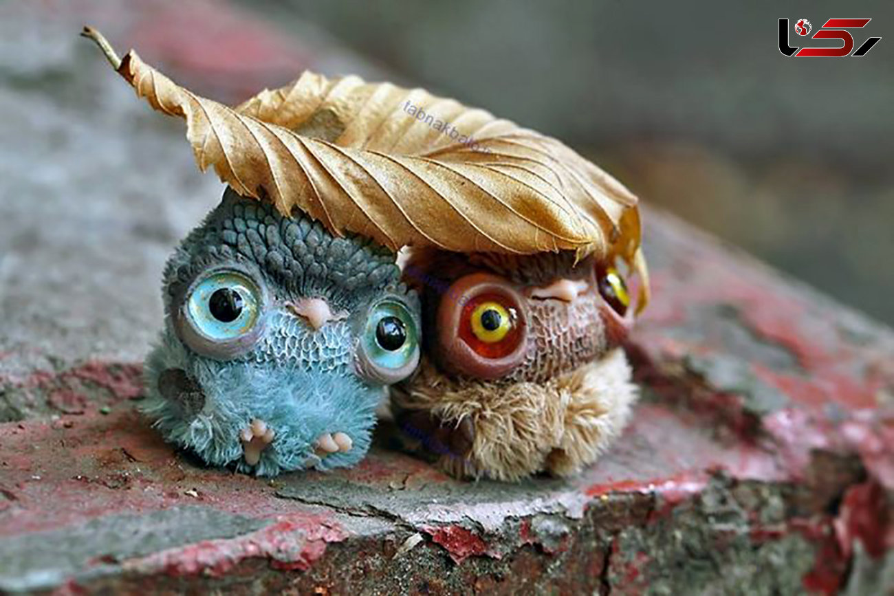 حیوانات جنگل الهامی برای عروسک سازان خلاق +عکس
