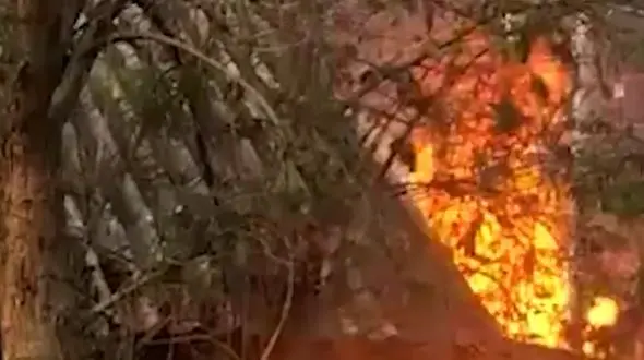 قوطی حشره کش خودرویی را آتش زد + فیلم لحظه انفجار