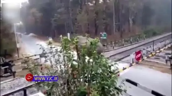 ذکاوت عجیب فیل حین عبور از گیت خط راه آهن+ فیلم