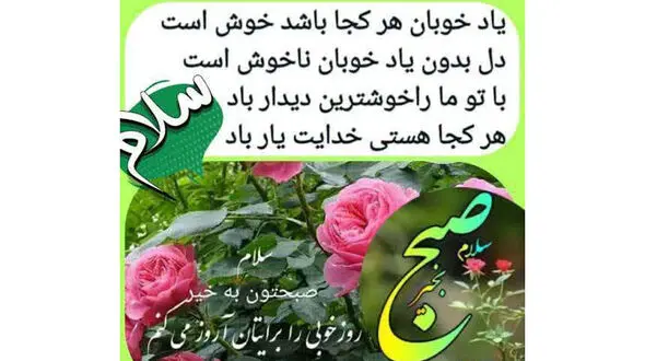 فال ابجد واقعی 29 بهمن + فیلم 