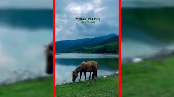 فیلم مناظر خیره کننده در تالش زیبا