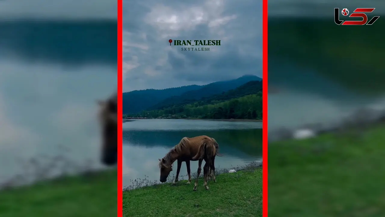 فیلم مناظر خیره کننده در تالش زیبا