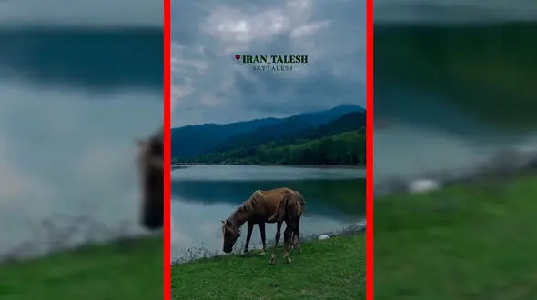 فیلم مناظر خیره کننده در تالش زیبا