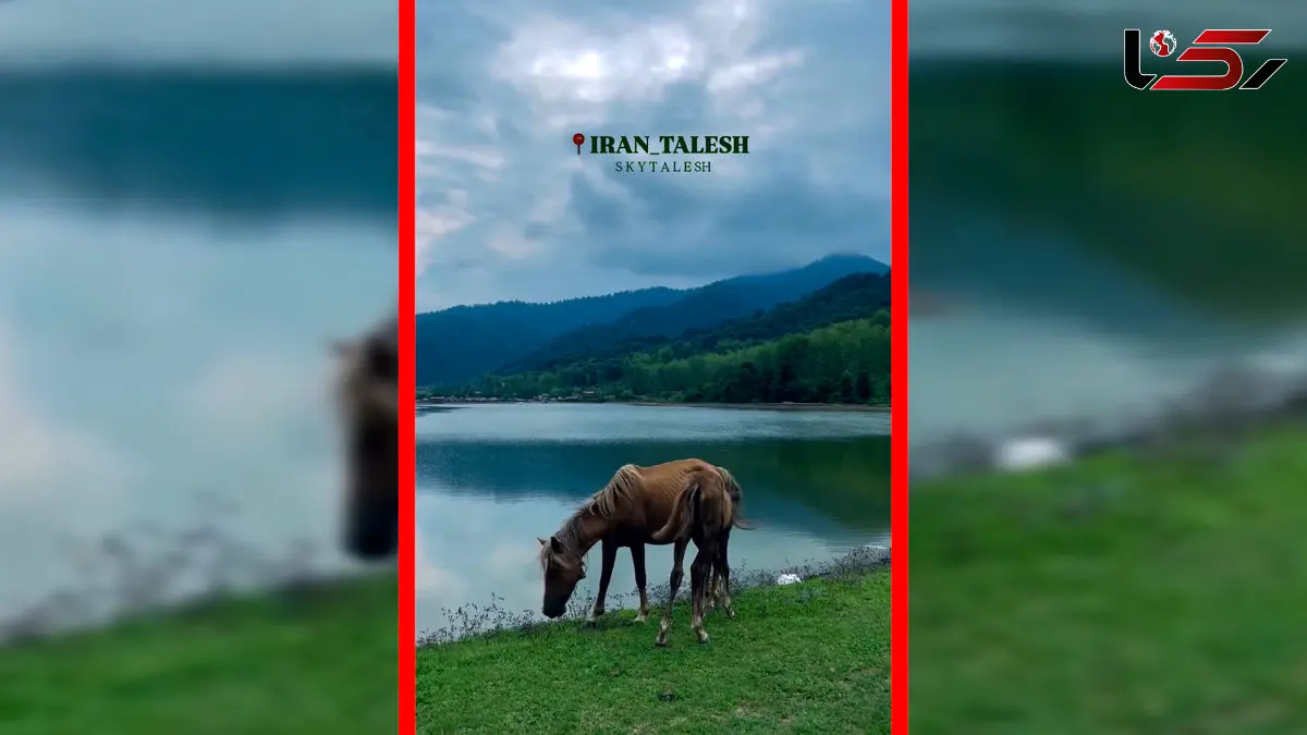 فیلم مناظر خیره کننده در تالش زیبا