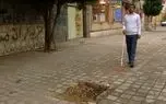 زندگی 200 هزار نابینای مطلق در ایران / یک چهارم تحت پوشش بهزیستی قرار دارند / نابینایان می توانند از شهرداری شکایت کنند