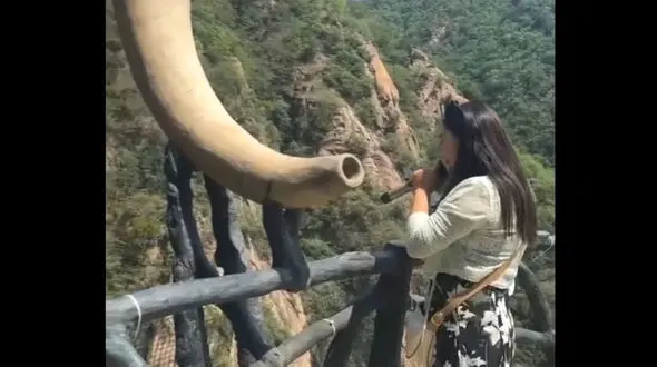 فیلم/ آبشار شگفت انگیزی که با صدای یک بوق بالا می آید