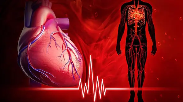 3 میلیون نفر از مردم ایران به آریتمی های قلبی مبتلا هستند / آریتمی های حاد مرگ مبتلایان را در پی دارد / آیا تنها عامل ایجاد آریتمی قلبی در افراد ارث است؟       