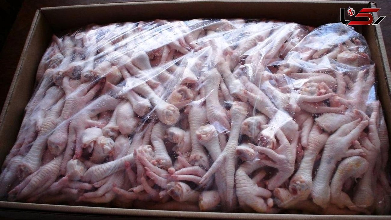 صادرات ۷۸۴ هزار کیلوگرم پای مرغ لرستان به بازارهای جهانی