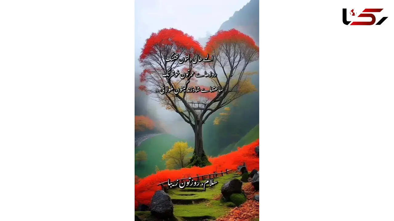 فال ابجد امروز 29 فروردین 1403 + فیلم