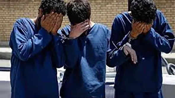 دزدان شکموی تهران چه دسیسه ای داشتند! / آنها غذا سرقت می کردند + عکس