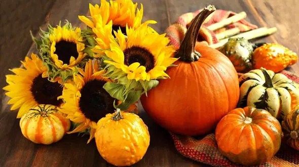 بهترین راه مقابله با شایع ترین بیماری زنان/مولتی ویتامین طبیعی فصل زمستان