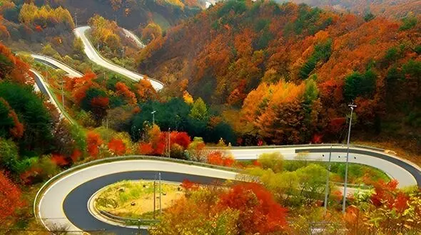 جاهای دیدنی جاده چالوس کجاست؟ راهنمای کامل سفر در میان کوه و جنگل