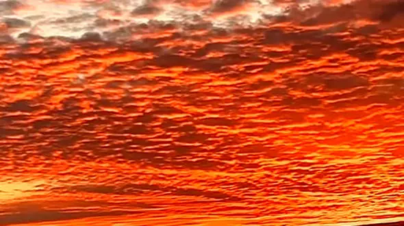 یک خبر خوب برای فردا + فیلم