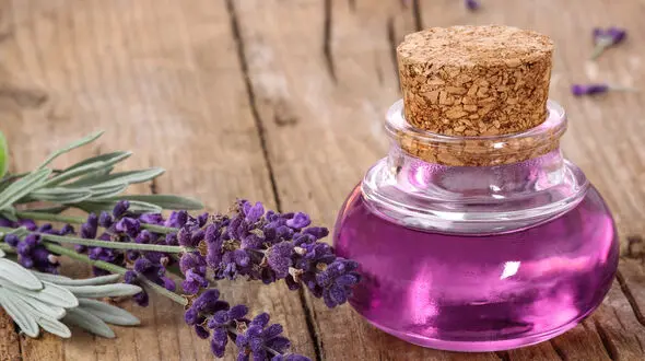 زیبایی موی سر با روغن اسطوخودوس
