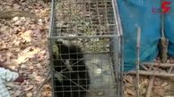 لحظه‌ی نجات خرس گیر افتاده در چاه+فیلم