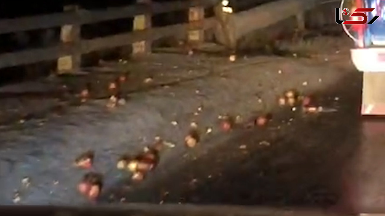 فیلم واژگونی خودروی حامل سیب در جاده مرند
