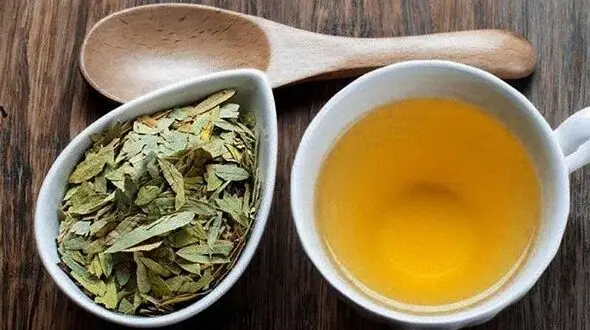 زیبایی پوست و مو با یک گیاه شگفت انگیز