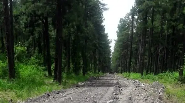 پارک  لاکان در ردیف پارکهای کم نظیر کشور قرار می‌گیرد/بهره‌برداری فاز اول پارک ۵۰۰ هکتاری لاکان در سال ۱۴۰۱