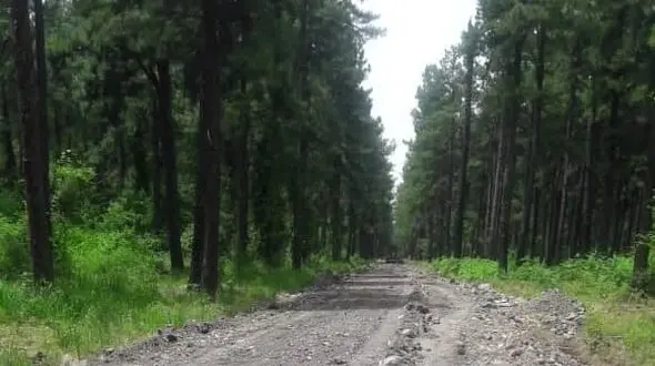 پارک  لاکان در ردیف پارکهای کم نظیر کشور قرار می‌گیرد/بهره‌برداری فاز اول پارک ۵۰۰ هکتاری لاکان در سال ۱۴۰۱