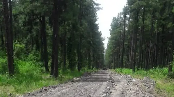 پارک  لاکان در ردیف پارکهای کم نظیر کشور قرار می‌گیرد/بهره‌برداری فاز اول پارک ۵۰۰ هکتاری لاکان در سال ۱۴۰۱